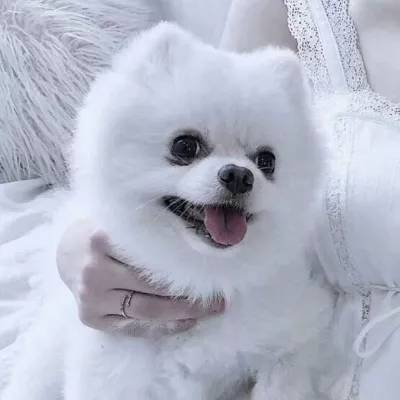 剑师大作战破解版下载