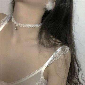 二维征服中文破解版下载