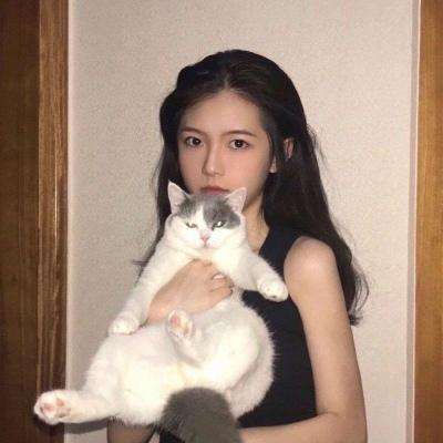 火柴人学校快跑中文版下载